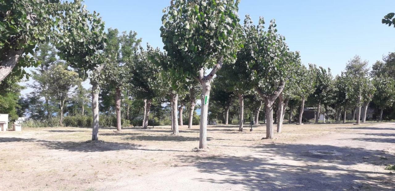 Camping Torre Mucchia Ortona Kültér fotó